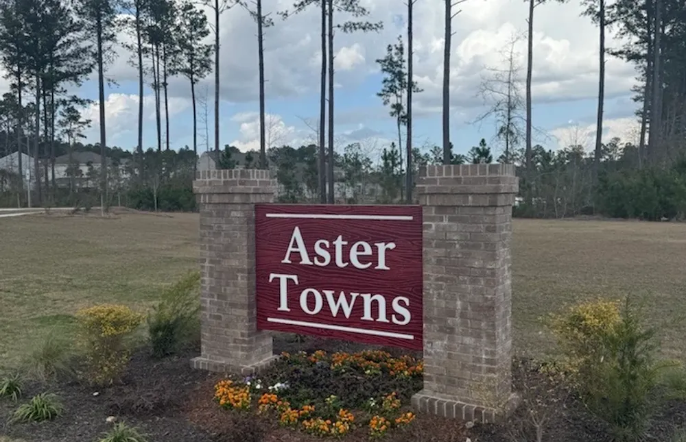 Aster Towns Home Community